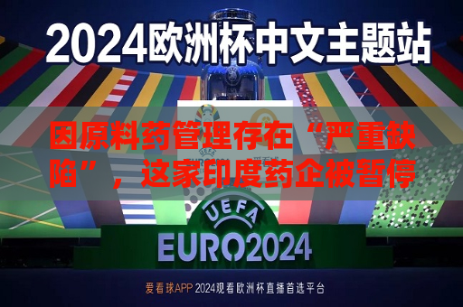 因原料药管理存在“严重缺陷”，这家印度药企被暂停集采资格  第1张