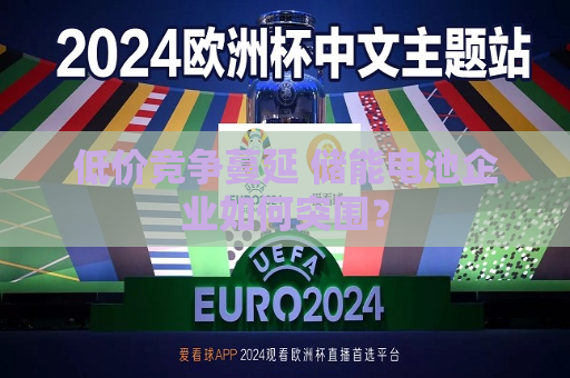 低价竞争蔓延 储能电池企业如何突围？