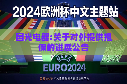 国光电器:关于对外提供担保的进展公告