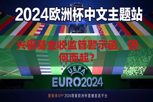 兴银基金收监管警示函，因何而起？