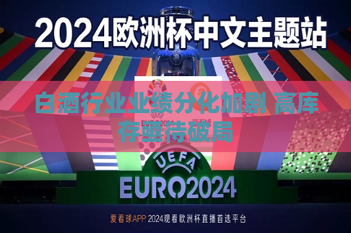 白酒行业业绩分化加剧 高库存亟待破局  第1张