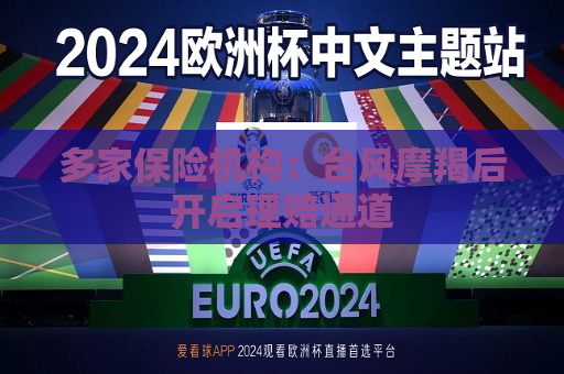 多家保险机构：台风摩羯后开启理赔通道  第1张