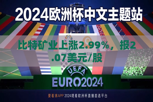 比特矿业上涨2.99%，报2.07美元/股