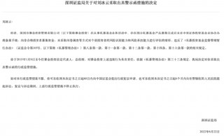 赛金投资及其法定代表人刘冰云存在多项违规被警示