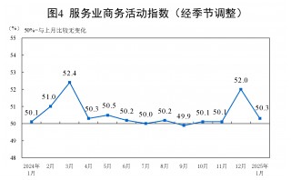 1月份制造业PMI为49.1%，比上月下降1个百分点