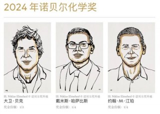 我是万没想到 诺贝尔化学奖也给了程序员