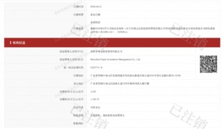 赛金投资及其法定代表人刘冰云存在多项违规被警示