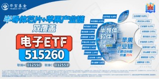 芯片突传利好！大摩唱多台积电，半导体迎“喜报潮”！领益智造近20日累涨51%，电子ETF（515260）盘中涨逾1%