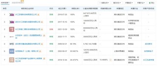 长江存储母公司新增16家投资方