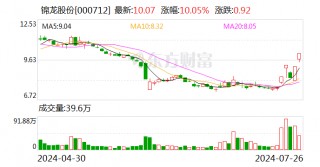 锦龙股份将正式挂牌 *** 东莞证券20%股权 挂牌底价22.72亿元