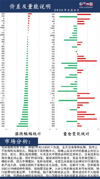 中天策略:3月6日市场分析