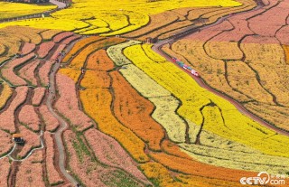 【8点见】深圳北地铁站发生人员踩踏？官方回应