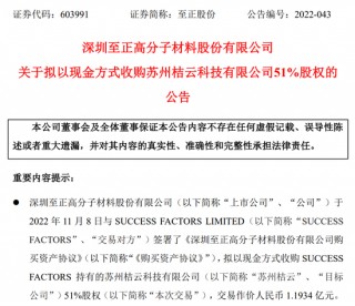 跨境并购,转型半导体