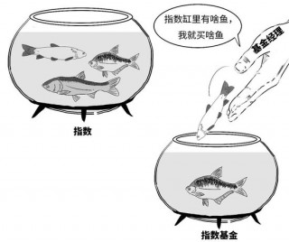 【金融教育宣传月】三折漫画 | 稳中向好，您还没分清指数基金和指数之间的偏差？