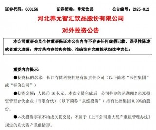 长江存储母公司新增16家投资方