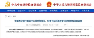 农业银行数据中心原党委委员、纪委书记林鹏被查