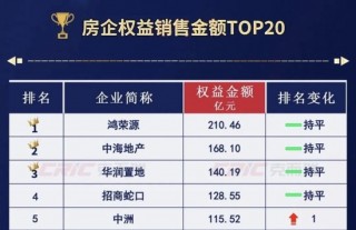 徐荣就位，华润置地结束“总裁空窗期”？