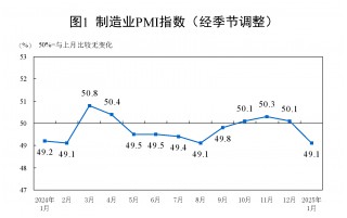 1月份制造业PMI为49.1%，比上月下降1个百分点