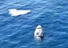 SpaceX载人绕地球两极飞行任务结束 机组返回地球