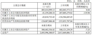 大连热电终止101亿买康辉新材一字跌停 西南证券铩羽
