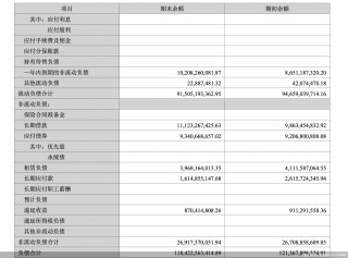 扭亏为盈 牧原股份如何解决高负债问题