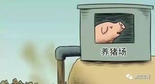 养猪改变命运(养猪人何去何从)