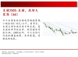 中天期货:螺纹短线反弹 螺纹震荡偏弱