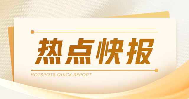 长城微光:核数师变更,2024年财报审核团队维持连续性 第1张 长城微光:核数师变更,2024年财报审核团队维持连续性 第1张