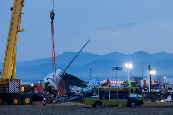 韩国空难调查关注鸟击和起落架 对逾百架在役波音737-800启动特别检查  第1张