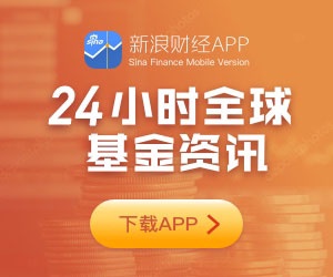 周鸿祎：愿无偿为DeepSeek抵御 *** 攻击 有些人质疑360能力有限  第2张