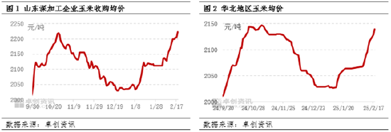 玉米：华北市场卖压减轻 价格或仍存上涨空间  第3张