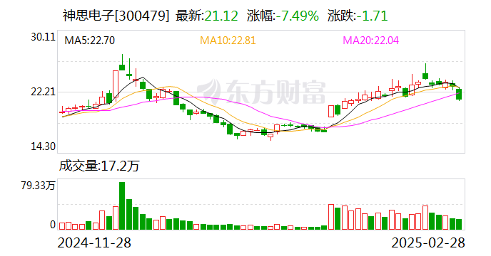 神思电子：公司业务主要聚焦智慧城市、智慧能源、智慧医疗及身份认证领域  第1张