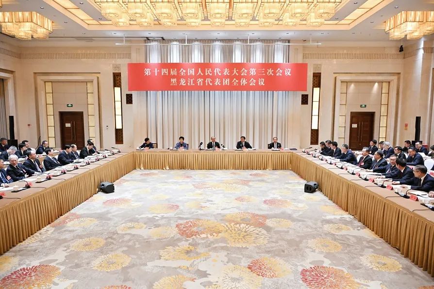 在黑龙江代表团的开放团组活动上，记者们都关心啥？  第1张