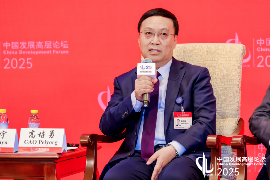 高培勇：激发增长新动能离不开地方 *** 的活力和积极性  第1张