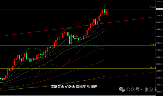 张尧浠:高通胀与低增长双重预期 金价牛市前景仍良好  第3张