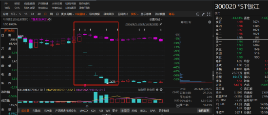 *ST银江信披违规被罚！定增投资者也能索赔  第3张