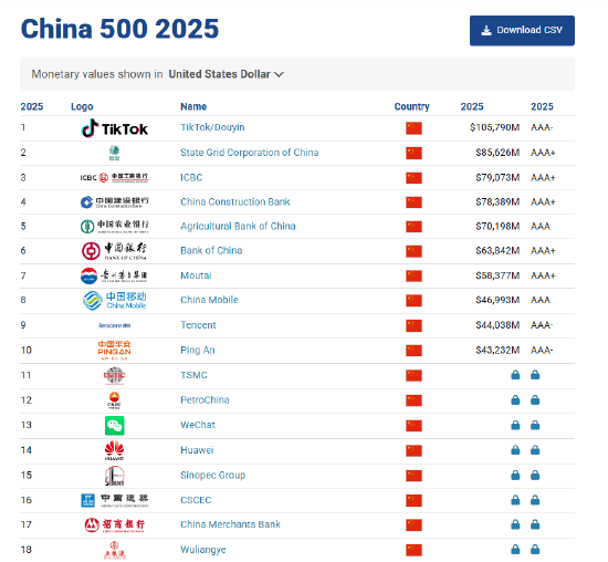 Brand Finance2025中国品牌价值500强：国家电网超越工商银行排名第二  第1张